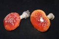 Toxic mushroom name is fly agaric on table in the school