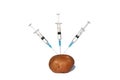 Potato pricked with a syringe on a white isolated background.