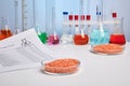 Toxic Report for Red Lentils in Petri Dish - Labs Photo