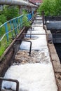 Toxic sewage water discharged into the canal