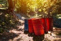 Toxic waste barrels in the forest Royalty Free Stock Photo