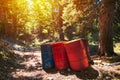 Toxic waste barrels in the forest Royalty Free Stock Photo