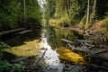 toxic waste spill in a natural setting, with dead fish and vegetation visible Royalty Free Stock Photo