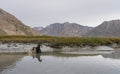 Toxic and water pollution, animal skull in the water resource