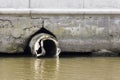 Toxic water running from sewers in dirty underground sewer for dredging drain tunnel cleaning. Royalty Free Stock Photo