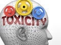 Toxicity and human mind - pictured as word Toxicity inside a head to symbolize relation between Toxicity and the human psyche, 3d