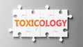 Toxicology complex like a puzzle - pictured as word Toxicology on a puzzle pieces to show that Toxicology can be difficult and