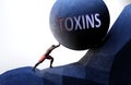 Toxins as a problem that makes life harder - symbolized by a person pushing weight with word Toxins to show that Toxins can be a