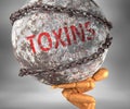 Toxins and hardship in life - pictured by word Toxins as a heavy weight on shoulders to symbolize Toxins as a burden, 3d
