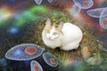 Toxoplasma gondii awareness conceptual image