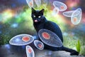 Toxoplasma gondii awareness conceptual image