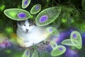 Toxoplasma gondii awareness conceptual image