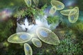 Toxoplasma gondii awareness conceptual image