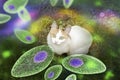 Toxoplasma gondii awareness conceptual image