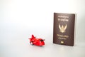 Toy airplane and Thai citizen passport and Thailand official passport