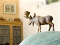 A toy moose on chair looks out over the living room as toy animals take over a house