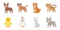 Toy animals icons in set collection for design. Bird, predator and herbivore vector symbol stock web illustration. Royalty Free Stock Photo