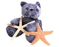 Toy bear holding starfish