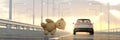 Toy bear lost out of car window 3d render Royalty Free Stock Photo