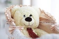 Toy bear in a pram Royalty Free Stock Photo