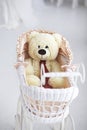 Toy bear in a pram Royalty Free Stock Photo