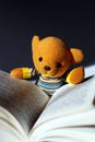 Toy bear reading