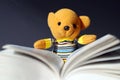 Toy bear reading