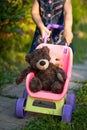 Toy Bear In Stroller With Baby Girl In Garden Close Up Royalty Free Stock Photo