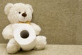 Toy bear with toilet paper