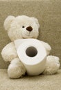 Toy bear with toilet paper
