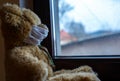 Toy bear wearing mask sitting near window looking outside Royalty Free Stock Photo