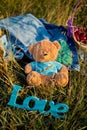 Toy bear, wedding ring and sign love on the grass Royalty Free Stock Photo