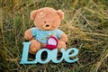 Toy bear, wedding ring and sign love on the grass Royalty Free Stock Photo