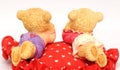 Toy bears lovers