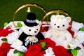 Toy bears - teddy bears - bride and groom - with big golden wedding rings