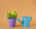 Toy blue watering can, purple bucket with yellow-green sprigs on an orange background Royalty Free Stock Photo