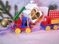 Toy bright cars deliver boxes with gifts, Christmas decorations, New Year`s decor, balls on a light background