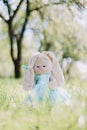 Toy bunny in a blue dress in the green grass.