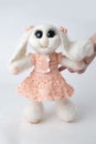 Toy bunny in a gift Royalty Free Stock Photo