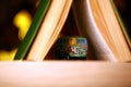 Toy car book gold bokeh studio