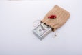 Toy car and bundle of US dollar in a sack Royalty Free Stock Photo