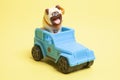Toy car suv with dog on yellow background. Royalty Free Stock Photo