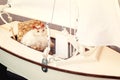 Toy cat sitting in a chair on the layout of a sailing yacht. Vacation dream concept Royalty Free Stock Photo