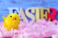 Toy chick, feathers and word easter