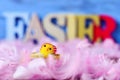 Toy chick, feathers and word easter