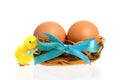 Toy chicken and nest with eggs Royalty Free Stock Photo