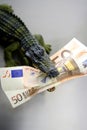 Toy cocodrile, aligator, with fifty euro banknote Royalty Free Stock Photo