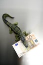 Toy cocodrile, aligator, with fifty euro banknote