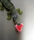 Toy cocodrile with candy Valentine red heart