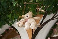 Cuddly Toy Teddy Bear Mom and her baby bear in a tree